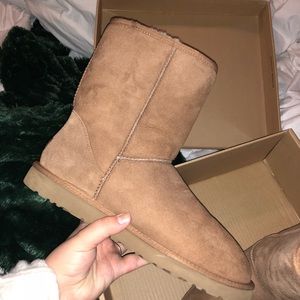 Chestnut UGG boots